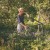 pol_pl_Sekator-nozycowy-Fiskars-L38-SingleStep-1001426-42835_3