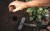 Sadzarka_z_trzonkiem_Fiskars_Ergo_1057078_gfx_4