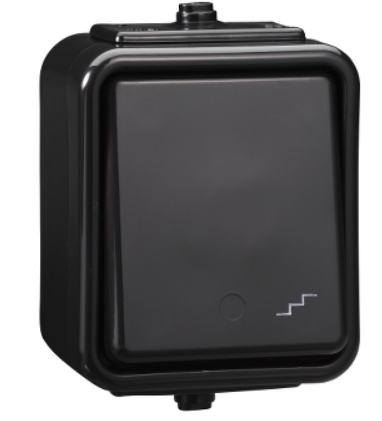 WNT600C05